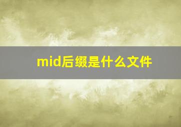 mid后缀是什么文件