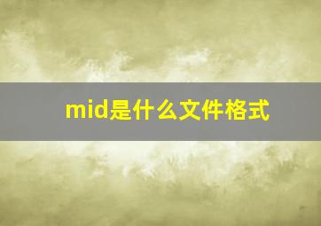 mid是什么文件格式