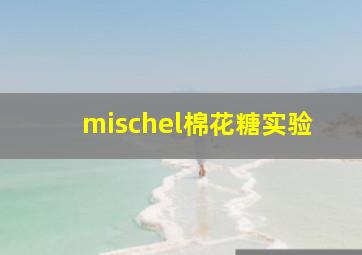 mischel棉花糖实验