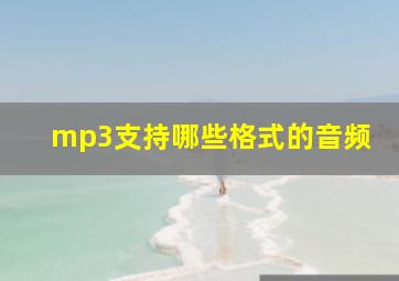 mp3支持哪些格式的音频