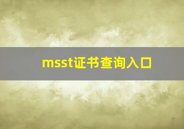 msst证书查询入口