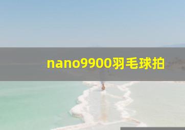 nano9900羽毛球拍