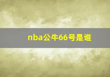 nba公牛66号是谁