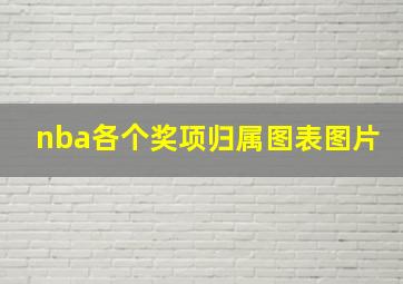 nba各个奖项归属图表图片