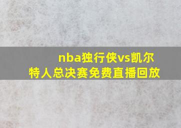 nba独行侠vs凯尔特人总决赛免费直播回放