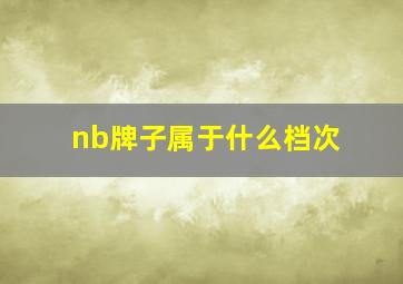 nb牌子属于什么档次