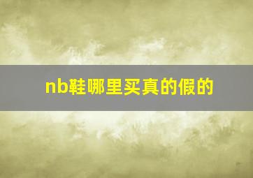 nb鞋哪里买真的假的