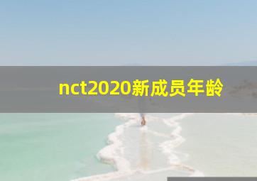 nct2020新成员年龄