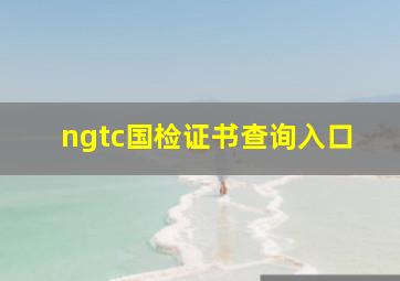 ngtc国检证书查询入口