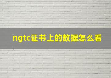 ngtc证书上的数据怎么看