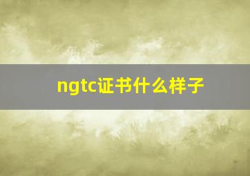 ngtc证书什么样子