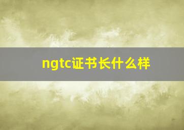 ngtc证书长什么样