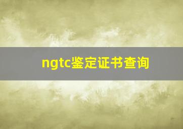 ngtc鉴定证书查询