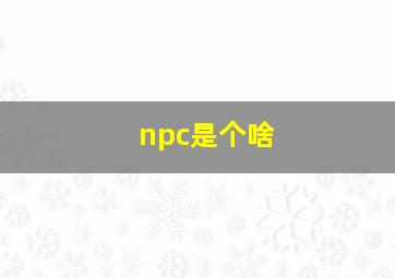 npc是个啥