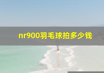 nr900羽毛球拍多少钱