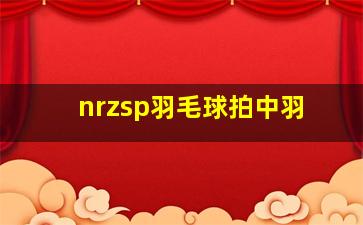 nrzsp羽毛球拍中羽