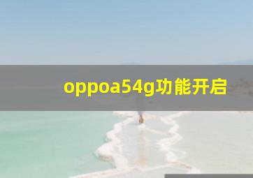 oppoa54g功能开启