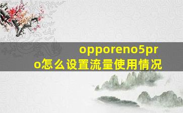 opporeno5pro怎么设置流量使用情况