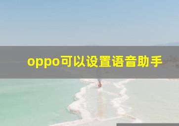 oppo可以设置语音助手