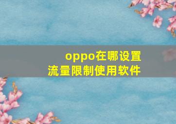 oppo在哪设置流量限制使用软件