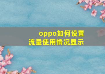 oppo如何设置流量使用情况显示