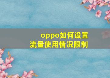 oppo如何设置流量使用情况限制