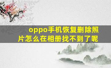 oppo手机恢复删除照片怎么在相册找不到了呢