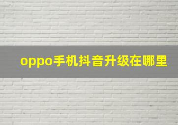 oppo手机抖音升级在哪里