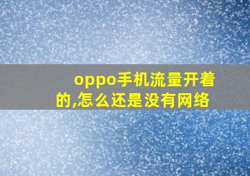 oppo手机流量开着的,怎么还是没有网络