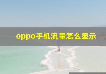 oppo手机流量怎么显示