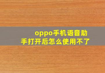 oppo手机语音助手打开后怎么使用不了