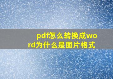 pdf怎么转换成word为什么是图片格式