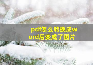 pdf怎么转换成word后变成了图片