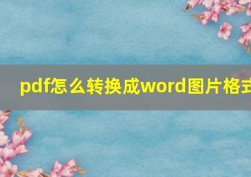 pdf怎么转换成word图片格式