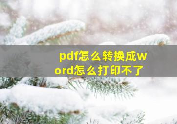 pdf怎么转换成word怎么打印不了