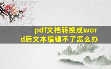 pdf文档转换成word后文本编辑不了怎么办