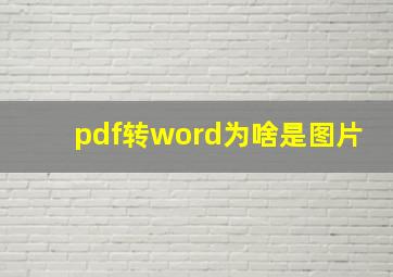 pdf转word为啥是图片