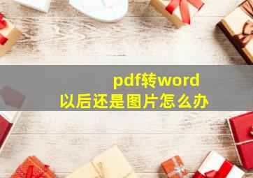 pdf转word以后还是图片怎么办