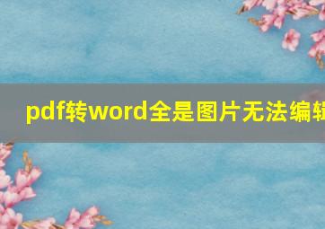 pdf转word全是图片无法编辑