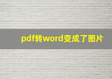 pdf转word变成了图片