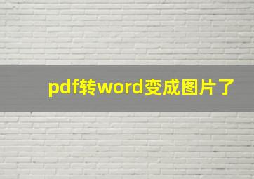 pdf转word变成图片了