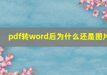 pdf转word后为什么还是图片