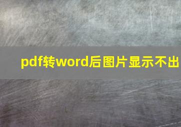 pdf转word后图片显示不出