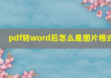 pdf转word后怎么是图片格式