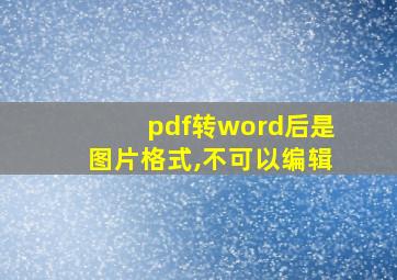 pdf转word后是图片格式,不可以编辑