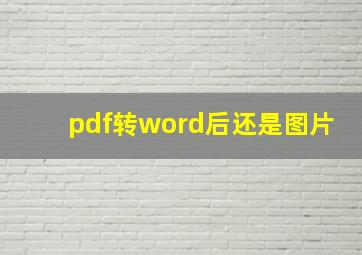 pdf转word后还是图片