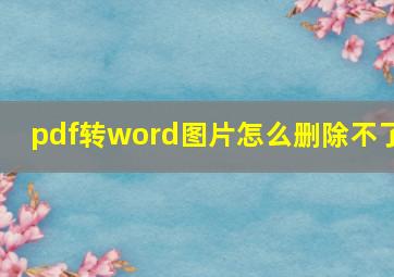 pdf转word图片怎么删除不了