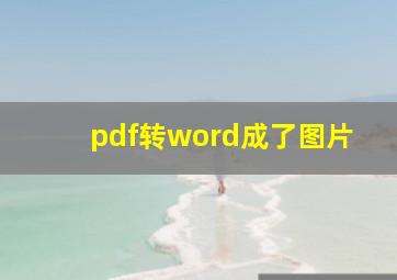 pdf转word成了图片