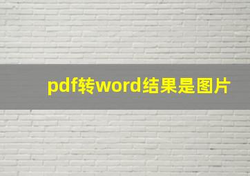 pdf转word结果是图片