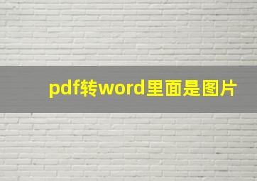 pdf转word里面是图片